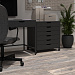 Дуб Коллинз