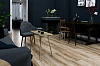 LVT Exceed