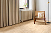 LVT Force